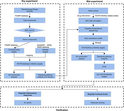 Wenshenyang recipe treats infertility through hormonal regulation and inflammatory responses revealed by transcriptome analysis and network pharmacology